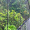 Arenal Super Combo: Hanging Bridges, Waterfall, Arenal Volcano & Hiking Tour