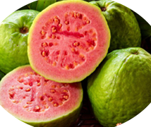 Guava (Body Wrap)