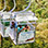 Hacienda Horseback Adventure & Rainforest Aerial Tram Ride
