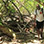 Hiking Tour in Cahuita National Park
