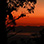 Monteverde Zipline + Cloud Forest Night Hike