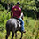 Pura Aventura Sunset Horseback Ride