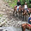 Sarapiqui Canopy + Horseback Riding Combo