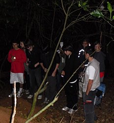 Night Jungle Walk Tour at Danaus Eco Center