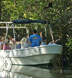 Damas Island Mangroves Boat Tour in Quepos