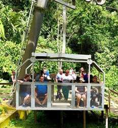 Rainforest Aerial Tram, Rainforest Walk & Cultural Tour