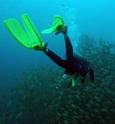 SSI or PADI Open Water Diver Certification