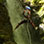 Escalada en las Copas de los Árboles & Canyoning en el Bosque Nuboso de Monteverde