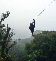 Excursión al Bosque Nuboso de Monteverde