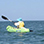 Kayak en la Isla Capitán & Snorkel en Tamarindo