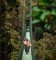 Excursión en Teleférico, Tirolesa Sky Trek & Puentes Colgantes en Monteverde