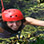 100% Aventura Canopy Tour