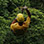 100% Aventura Canopy Tour