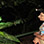 Amphibios & Reptiles Night Tour