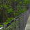 Arenal Hanging Bridges + Hot Springs (Optional)