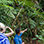 Arenal Sky Tram and Sky Walk