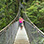 Arenal Super Combo: Hanging Bridges, Waterfall, Arenal Volcano & Hiking Tour