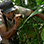 Arenal Volcano Hike Arenal 1968 Trail + Hot Springs (Optional)