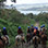 Arenal Volcano Horseback Ride & Hot Springs
