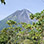 Arenal Volcano One Day Escape + Hot Springs Tour