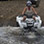 Avellanas Beach ATV Tour