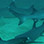 Bat Islands Dive