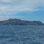 Costa Rica Bird Watching Tour from Puntarenas