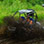 Full Day Jaco Buggy Tour