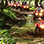 Congo Trail ATV Tour Tamarindo