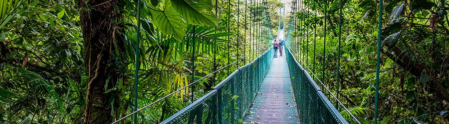 Costa Rica Hanging Bridges + Tarcoles River Eco Cruise