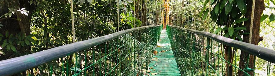 Costa Rica Hanging Bridges + Tarcoles River Eco Cruise