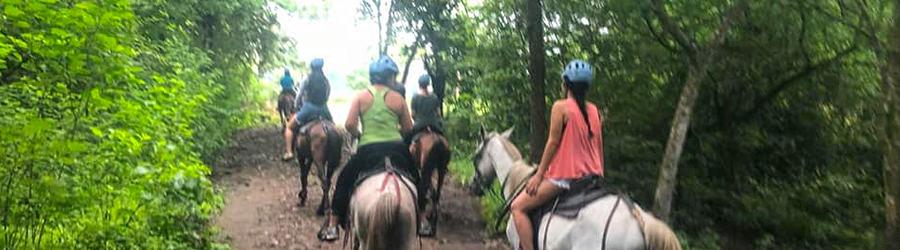 Costa Rica Horseback Riding on the Beach