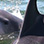 Puerto Viejo Dolphin Discovery & Punta Mona Beach Break