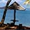 Fast Boat Isla San Lucas Tour