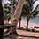 Fast Boat Isla San Lucas Tour