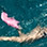 Flamingo Bay Snorkeling Tour