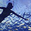 Flamingo Bay Snorkeling Tour