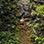 Go Adventures Park Zipline Tour
