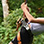 Go Adventures Park Zipline Tour