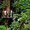 Guanacaste Dry Forest Canopy Tour