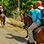 Gulf of Papagayo Horseback Riding Tour