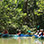 Damas Island Mangrove Kayak Tour