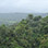 Monteverde Hanging Bridges Tour