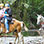 Arenal Volcano & La Fortuna Waterfall Horseback Ride