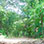 Isla San Lucas National Park Tour