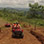 Full Day Jaco ATV Adventure