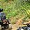 Jaco ATV Tour Express