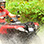 Jaco ATV or Buggy + Waterfall Hike + Zip Line Adventure Combo