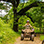 Jaco ATV or Buggy + Zip Line Adventure Half Day Combo