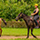 Vista Los Sueños Horseback Riding Tour in Jaco